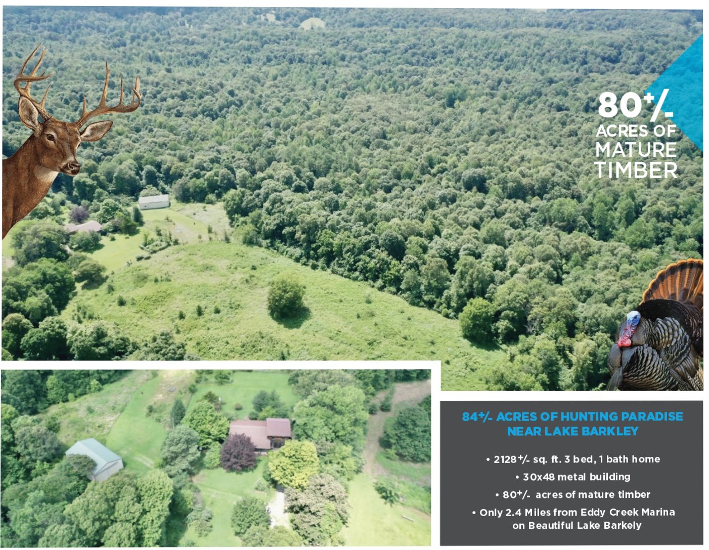 Image for 84+/- Acre Farm Auction