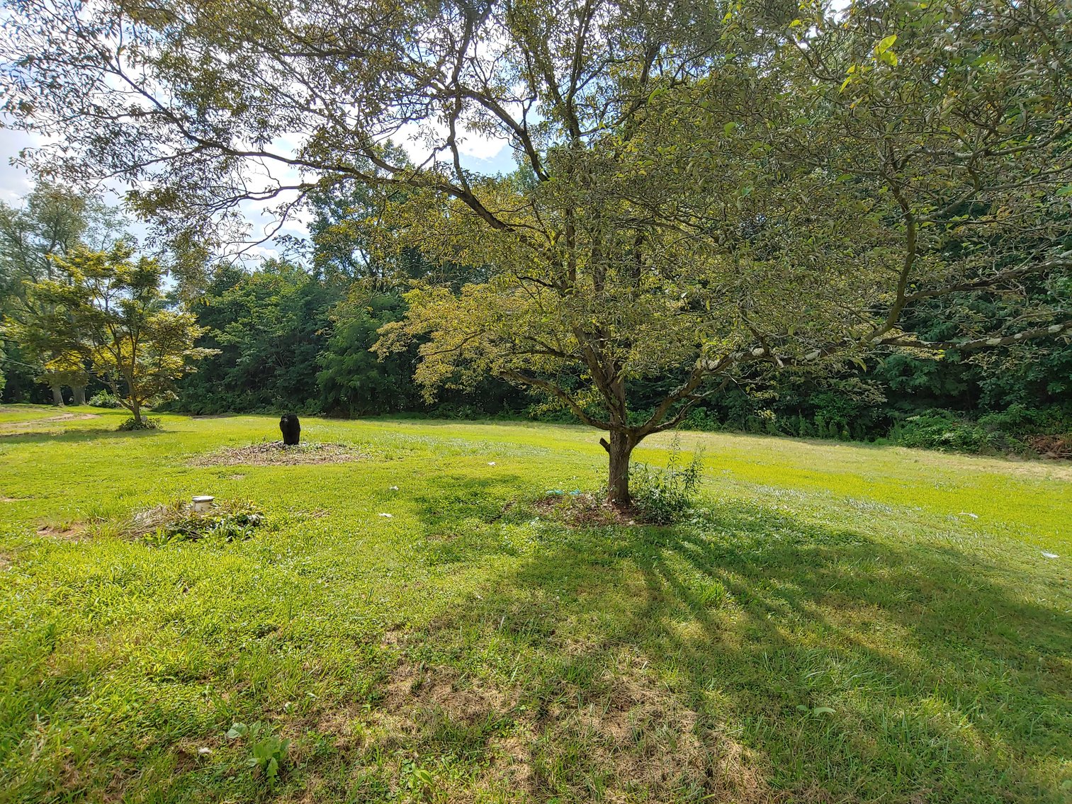 Image for 3 BR, 2 BA RANCHER ON PRIVATE 2.0+/- ACRE LOT IN BEL AIR