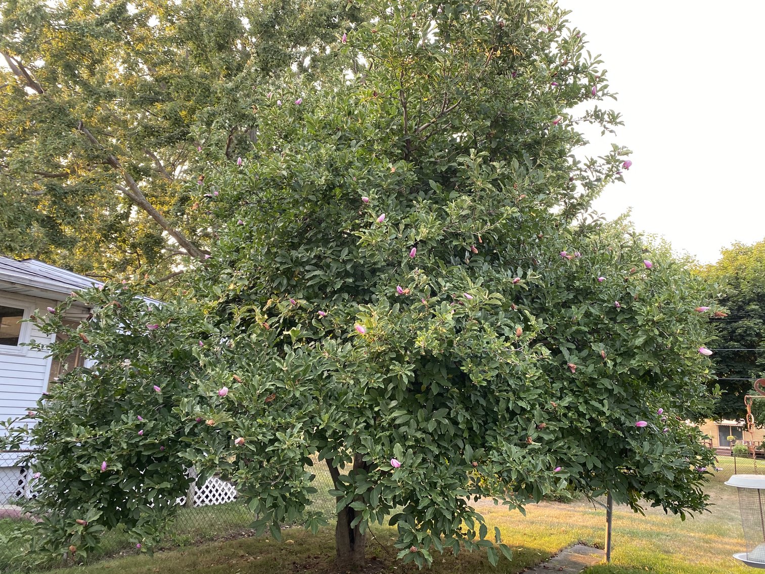 Image for MINIMUM BID AUCTION $39,000! 312 Eleanor Ave