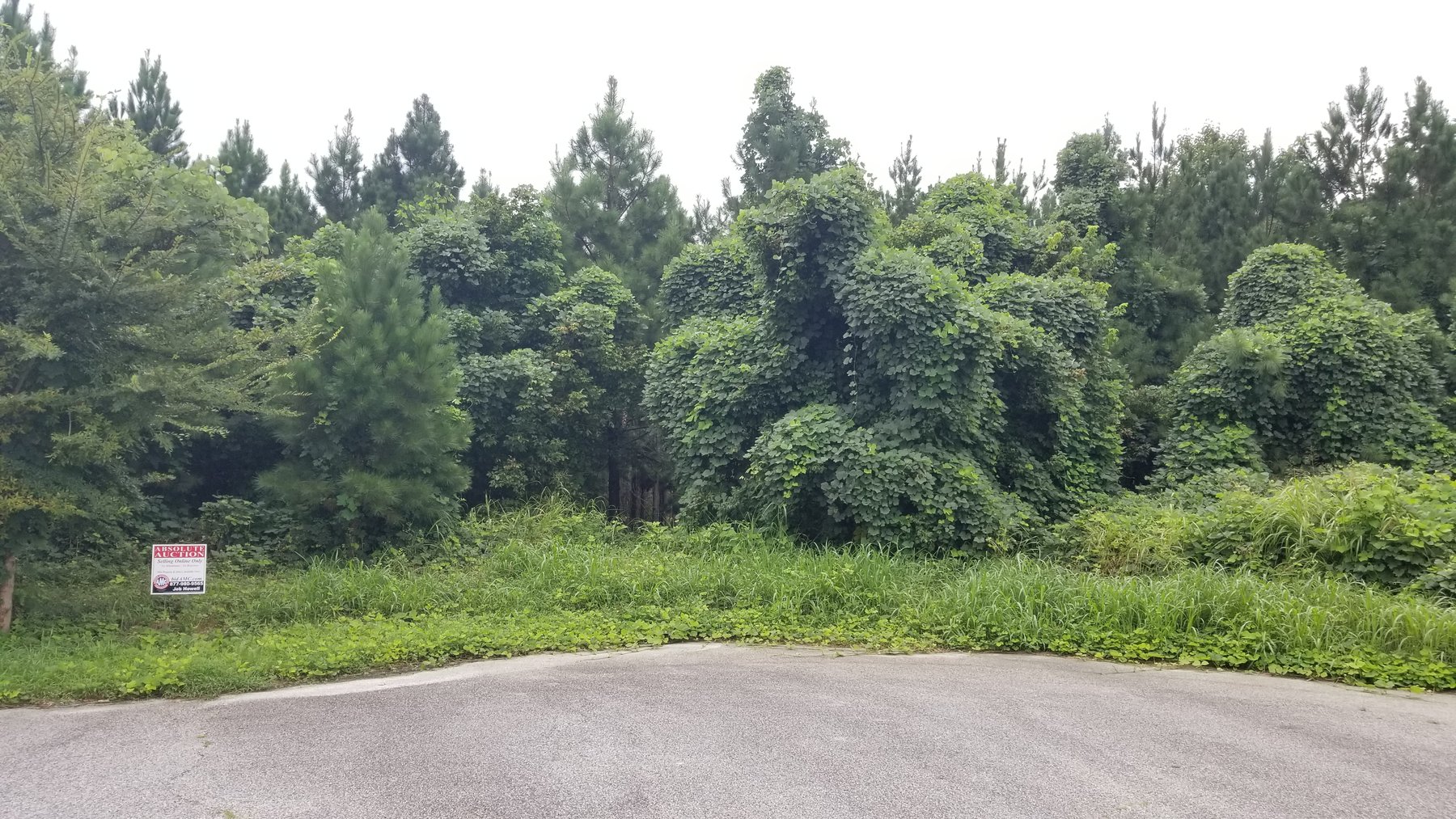 Conley, GA .4± Acre Lot at 1962 Shelter Rock Dr., Conley, GA 30288 (DeKalb County)