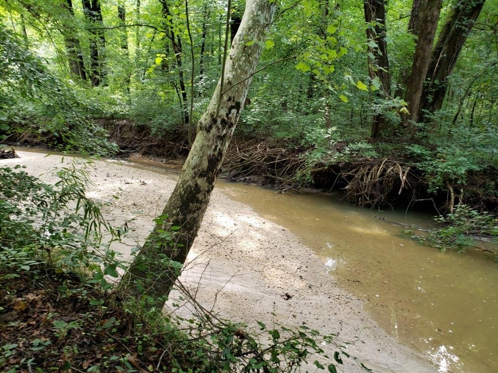 Image for 365 +/- Contiguous Acres of Land Offered in 3 Tracts Featuring Timber, Pasture & 5,600' +/- of River Frontage--Campbell County, VA