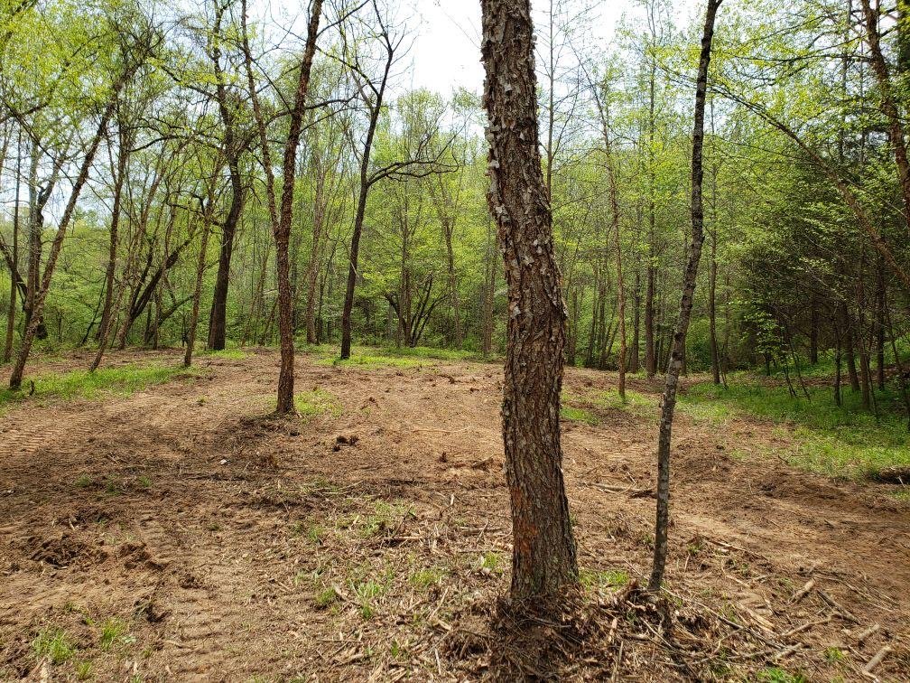 Image for 365 +/- Contiguous Acres of Land Offered in 3 Tracts Featuring Timber, Pasture & 5,600' +/- of River Frontage--Campbell County, VA