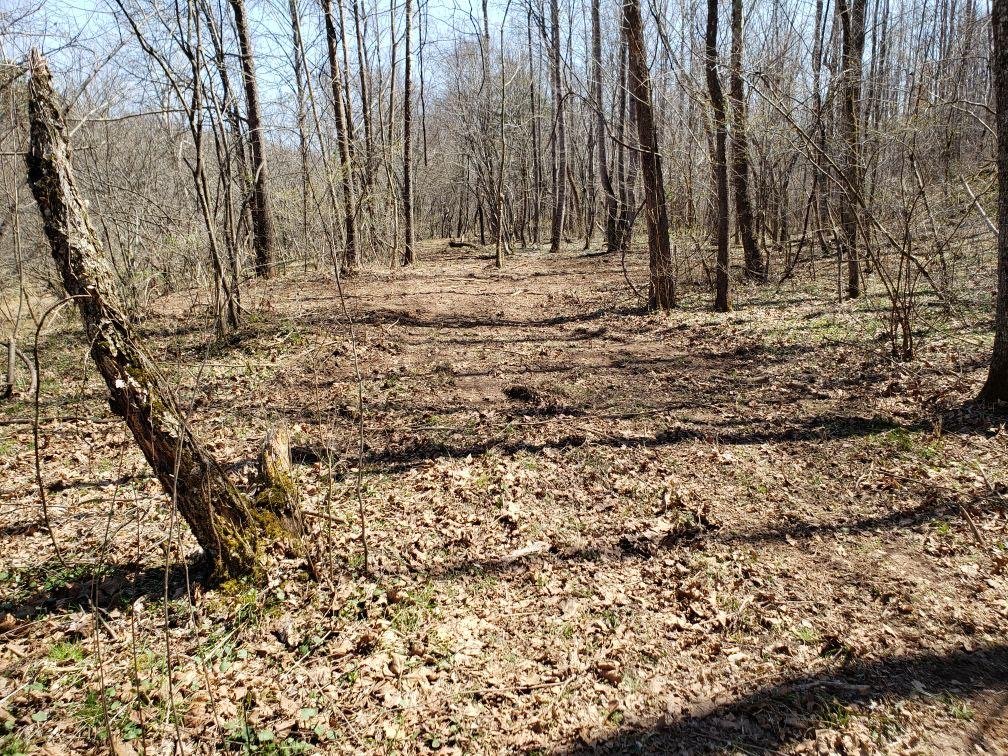 Image for 365 +/- Contiguous Acres of Land Offered in 3 Tracts Featuring Timber, Pasture & 5,600' +/- of River Frontage--Campbell County, VA