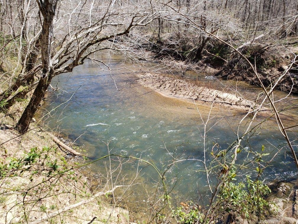 Image for 365 +/- Contiguous Acres of Land Offered in 3 Tracts Featuring Timber, Pasture & 5,600' +/- of River Frontage--Campbell County, VA