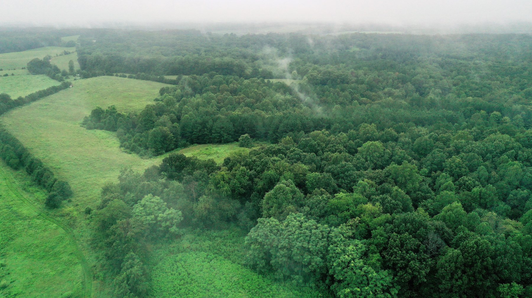 Image for 365 +/- Contiguous Acres of Land Offered in 3 Tracts Featuring Timber, Pasture & 5,600' +/- of River Frontage--Campbell County, VA