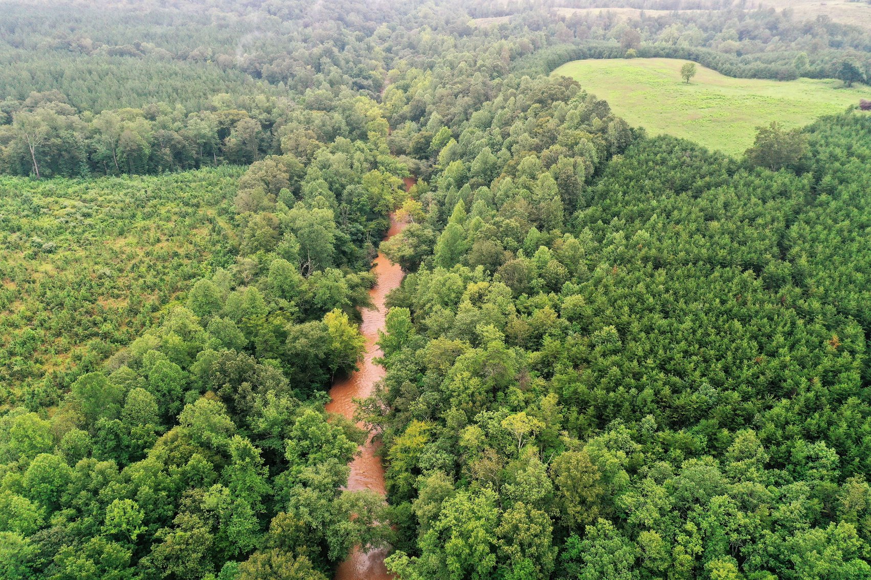 Image for 365 +/- Contiguous Acres of Land Offered in 3 Tracts Featuring Timber, Pasture & 5,600' +/- of River Frontage--Campbell County, VA