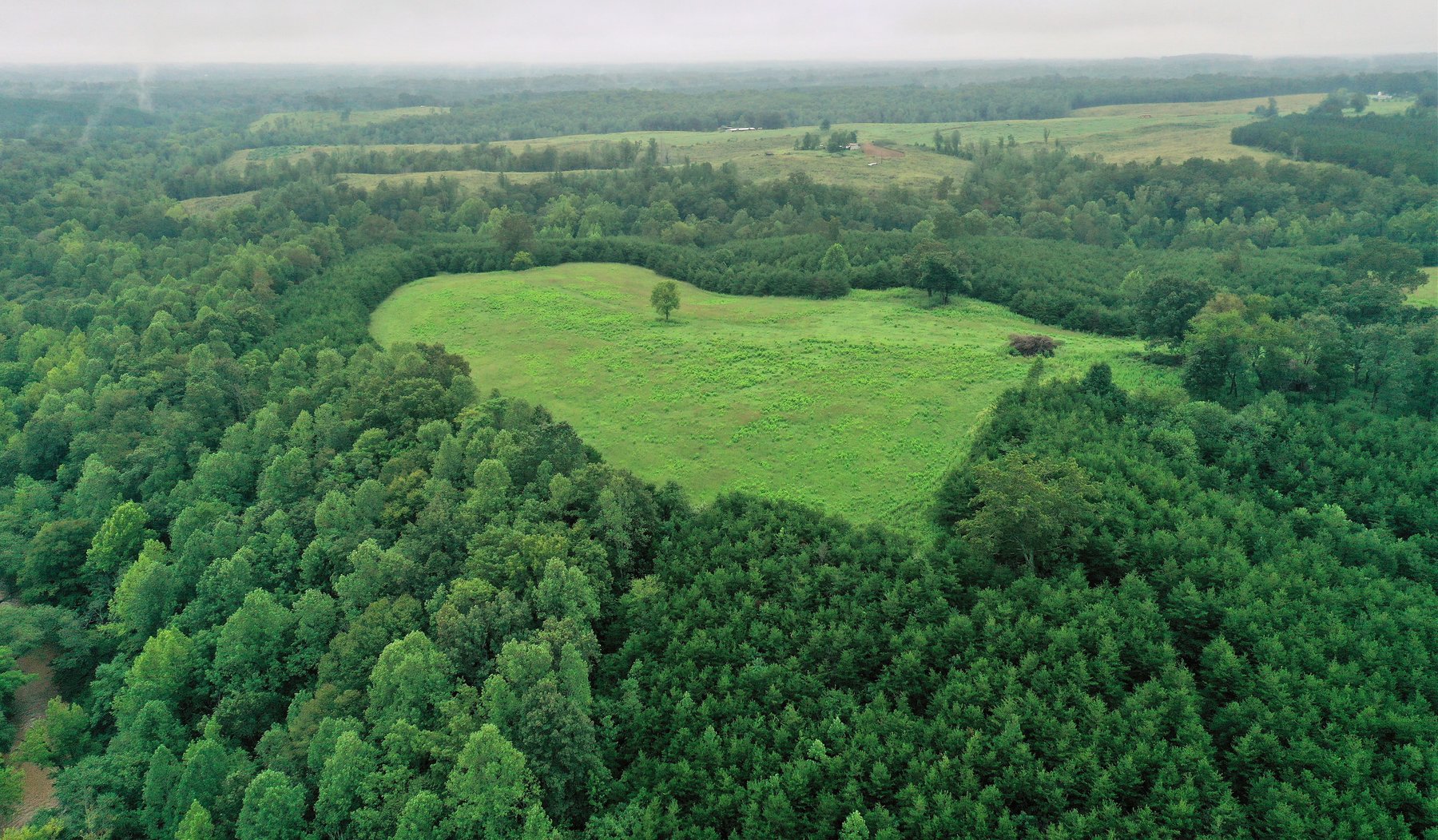 Image for 365 +/- Contiguous Acres of Land Offered in 3 Tracts Featuring Timber, Pasture & 5,600' +/- of River Frontage--Campbell County, VA