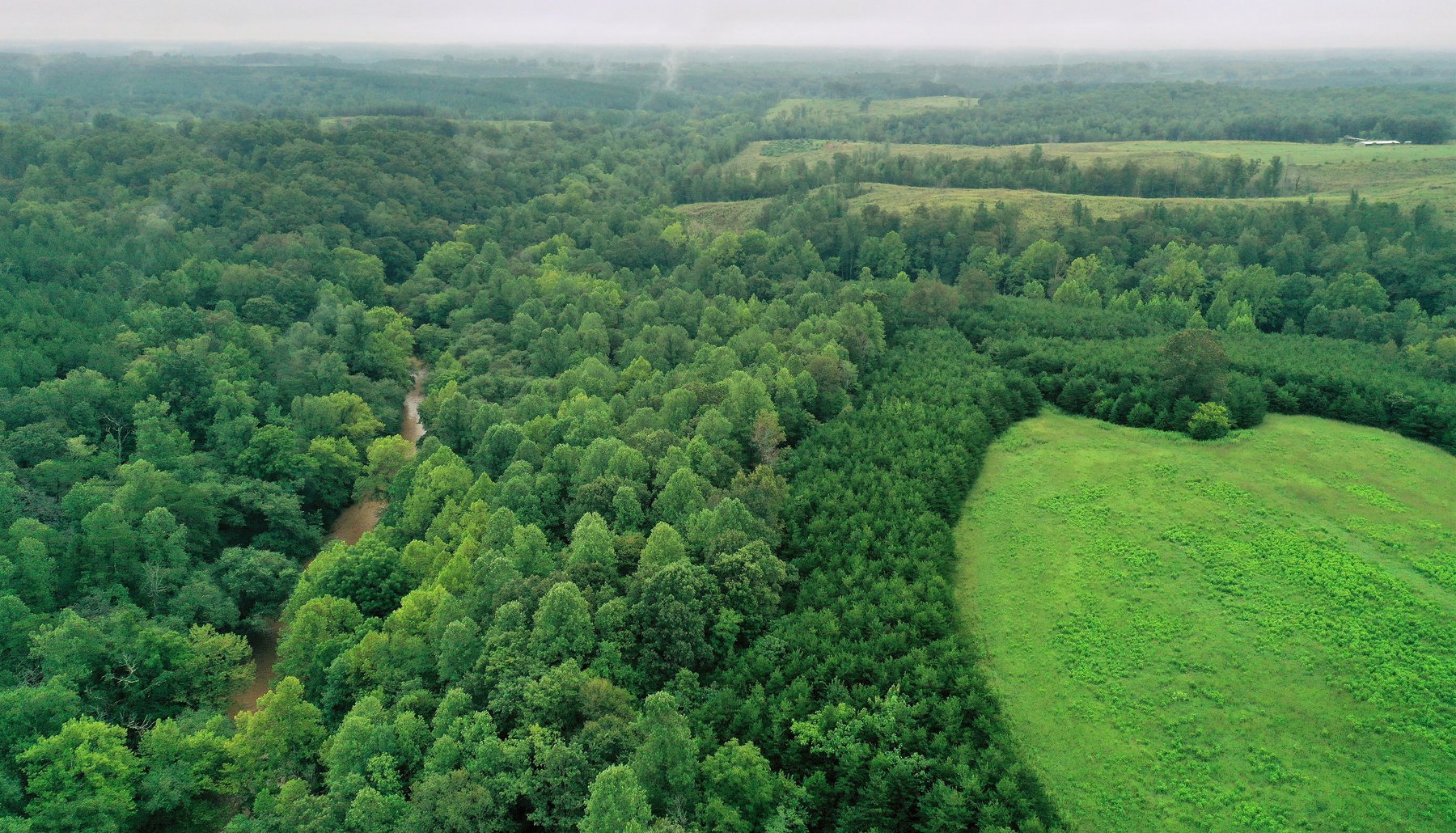 Image for 365 +/- Contiguous Acres of Land Offered in 3 Tracts Featuring Timber, Pasture & 5,600' +/- of River Frontage--Campbell County, VA