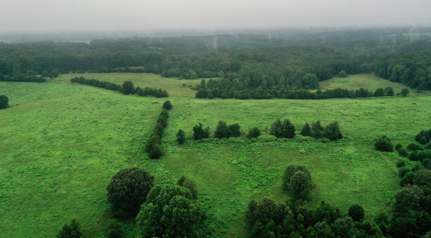 Image for 365 +/- Contiguous Acres of Land Offered in 3 Tracts Featuring Timber, Pasture & 5,600' +/- of River Frontage--Campbell County, VA