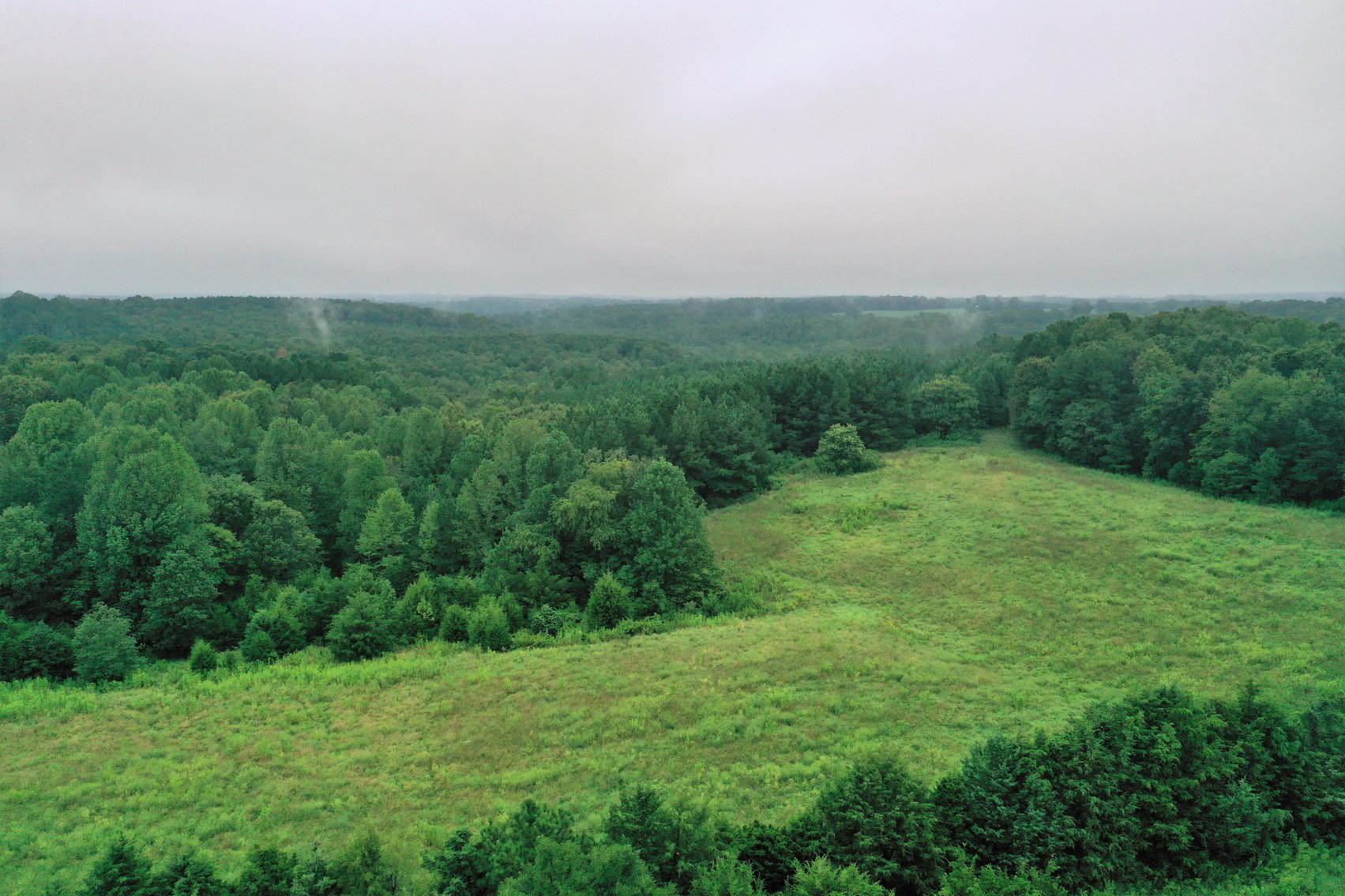 Image for 365 +/- Contiguous Acres of Land Offered in 3 Tracts Featuring Timber, Pasture & 5,600' +/- of River Frontage--Campbell County, VA