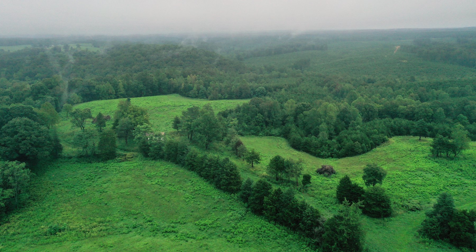 Image for 365 +/- Contiguous Acres of Land Offered in 3 Tracts Featuring Timber, Pasture & 5,600' +/- of River Frontage--Campbell County, VA