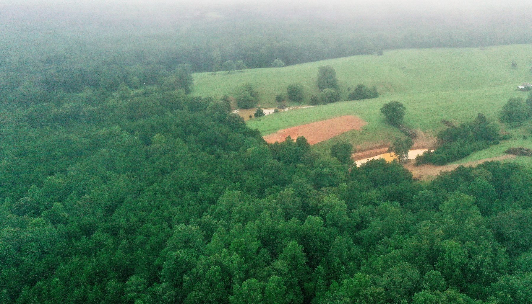 Image for 365 +/- Contiguous Acres of Land Offered in 3 Tracts Featuring Timber, Pasture & 5,600' +/- of River Frontage--Campbell County, VA