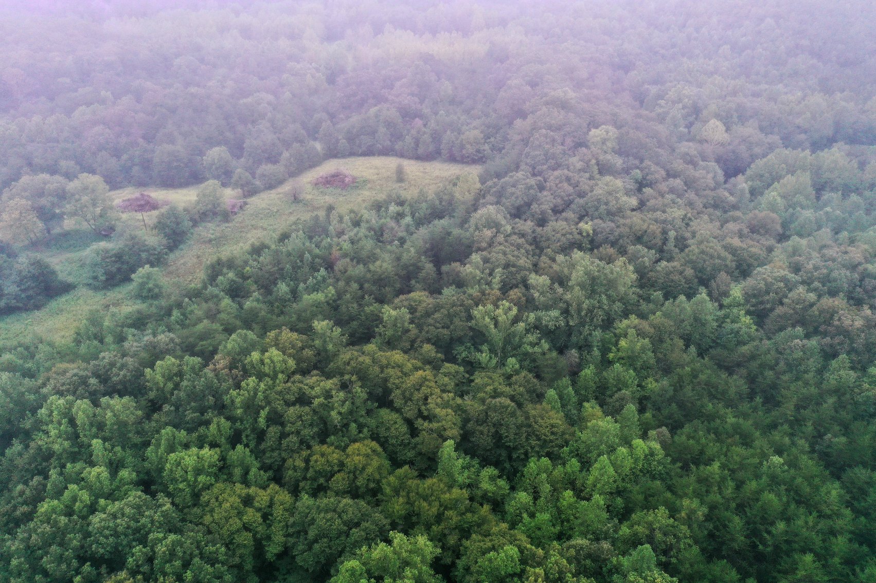 Image for 365 +/- Contiguous Acres of Land Offered in 3 Tracts Featuring Timber, Pasture & 5,600' +/- of River Frontage--Campbell County, VA