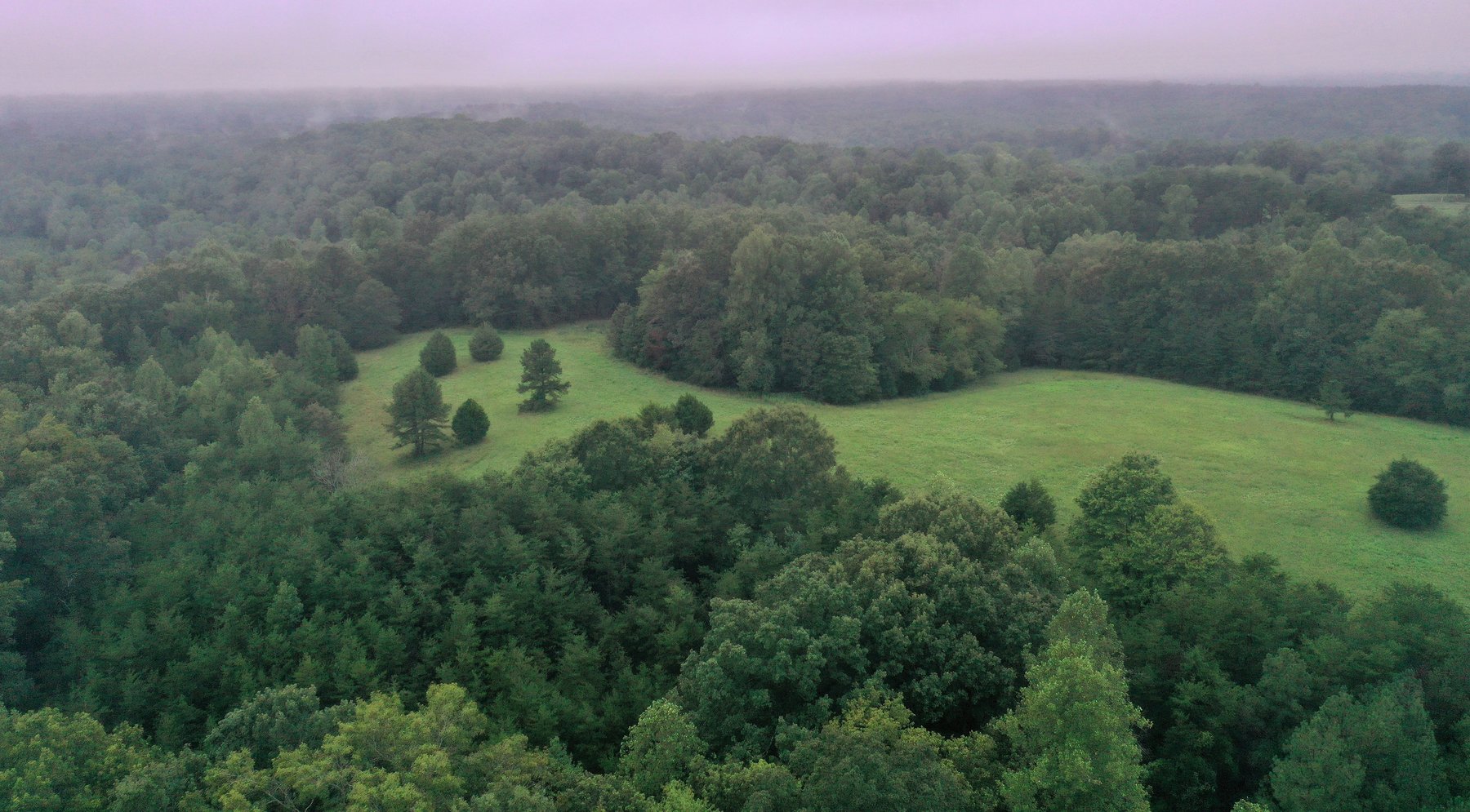 Image for 365 +/- Contiguous Acres of Land Offered in 3 Tracts Featuring Timber, Pasture & 5,600' +/- of River Frontage--Campbell County, VA