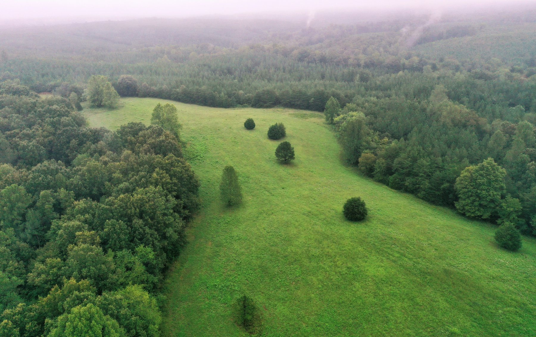 Image for 365 +/- Contiguous Acres of Land Offered in 3 Tracts Featuring Timber, Pasture & 5,600' +/- of River Frontage--Campbell County, VA