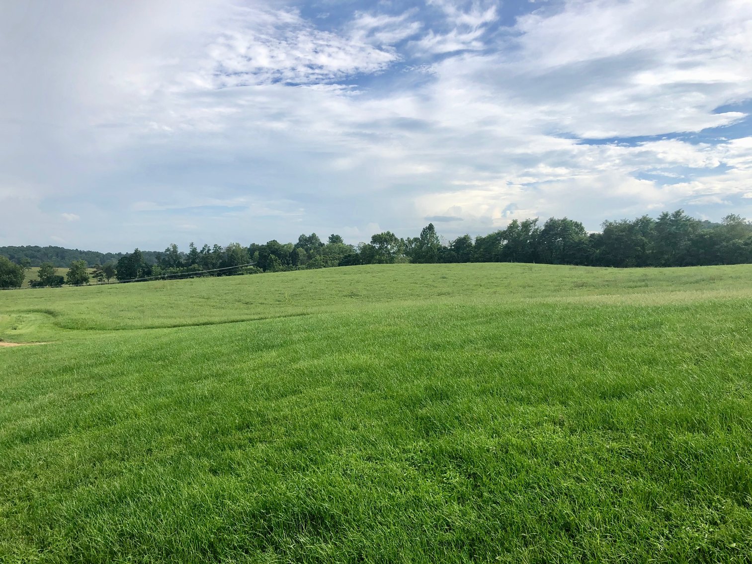 Image for Majestic 3 BR/4.5 BA Log Home on 45 +/- Acres w/5,000 sf. Shop--Augusta County, VA