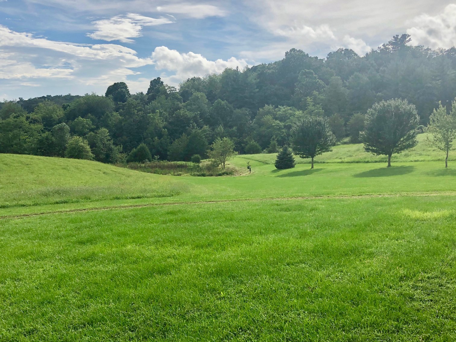 Image for Majestic 3 BR/4.5 BA Log Home on 45 +/- Acres w/5,000 sf. Shop--Augusta County, VA