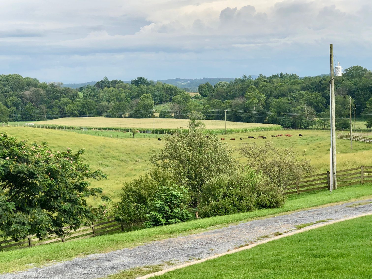 Image for Majestic 3 BR/4.5 BA Log Home on 45 +/- Acres w/5,000 sf. Shop--Augusta County, VA