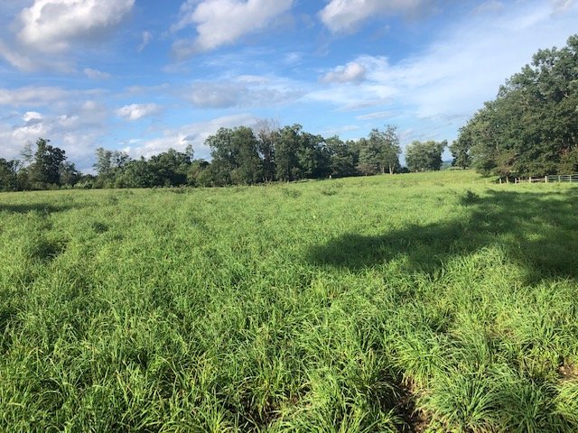 Image for Majestic 3 BR/4.5 BA Log Home on 45 +/- Acres w/5,000 sf. Shop--Augusta County, VA