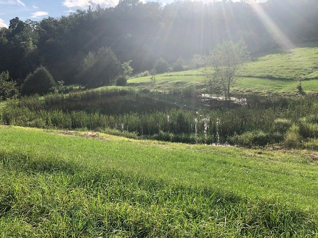 Image for Majestic 3 BR/4.5 BA Log Home on 45 +/- Acres w/5,000 sf. Shop--Augusta County, VA
