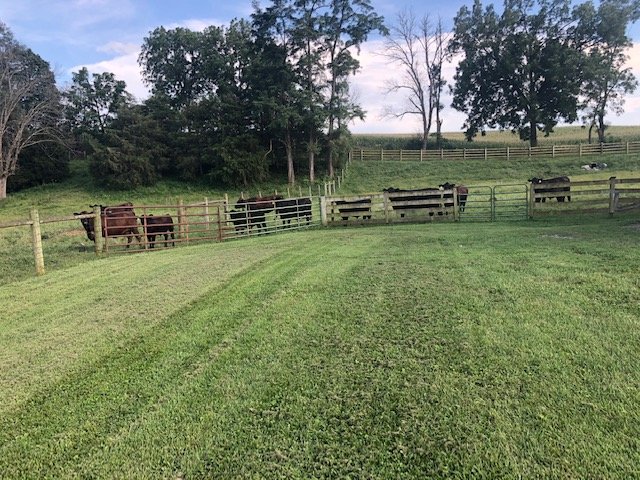 Image for Majestic 3 BR/4.5 BA Log Home on 45 +/- Acres w/5,000 sf. Shop--Augusta County, VA