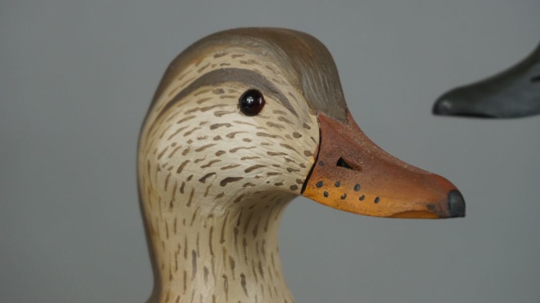 Image for Fall Sportsman's Auction Session One