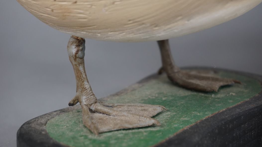 Image for Fall Sportsman's Auction Session One