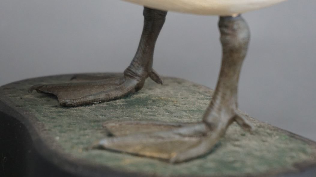 Image for Fall Sportsman's Auction Session One