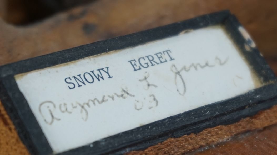 Image for Fall Sportsman's Auction Session One