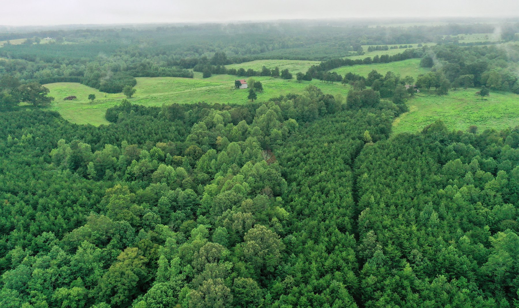 Image for Tract 1:  189.12 +/- acres