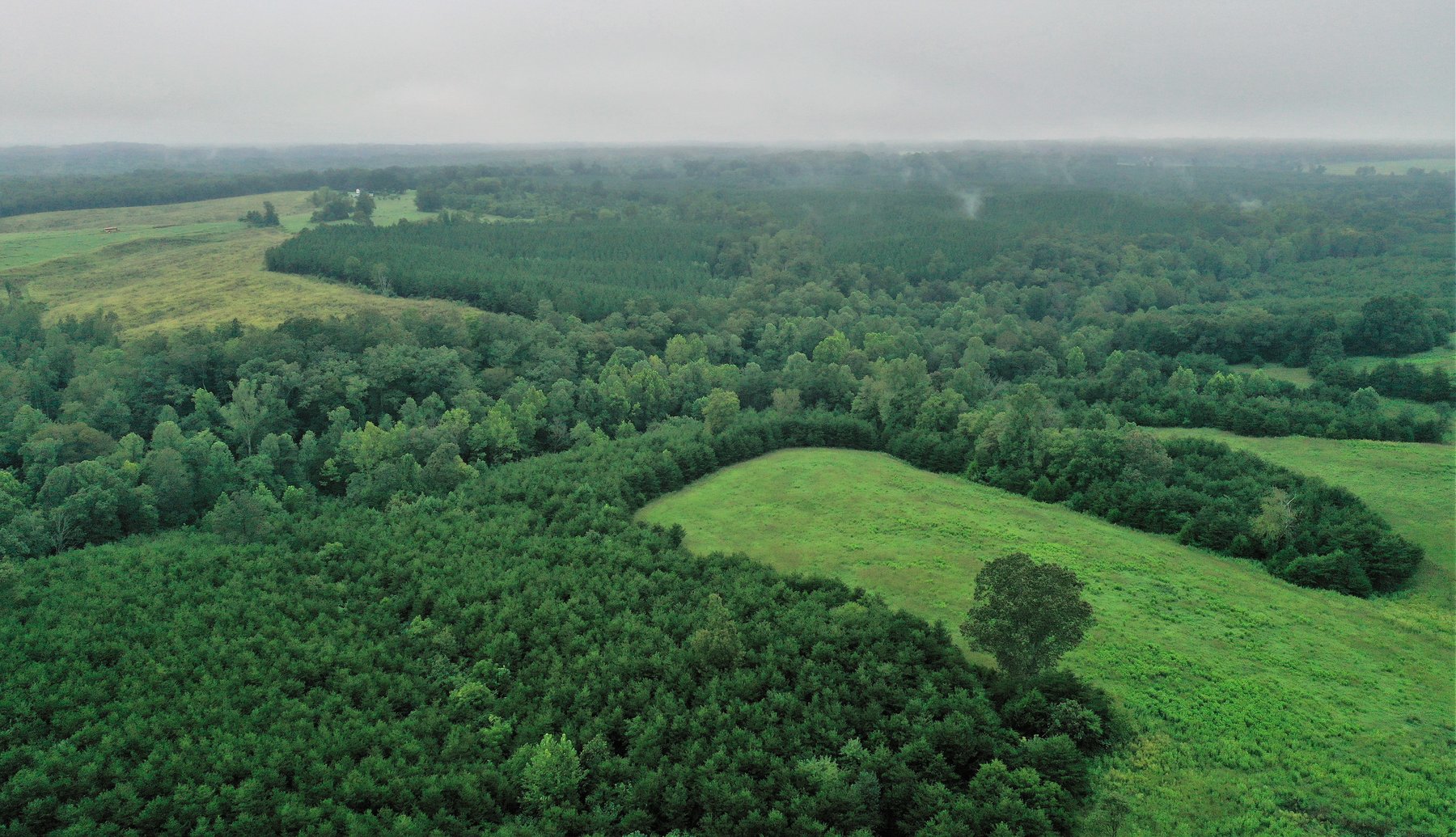 Image for Tract 1:  189.12 +/- acres