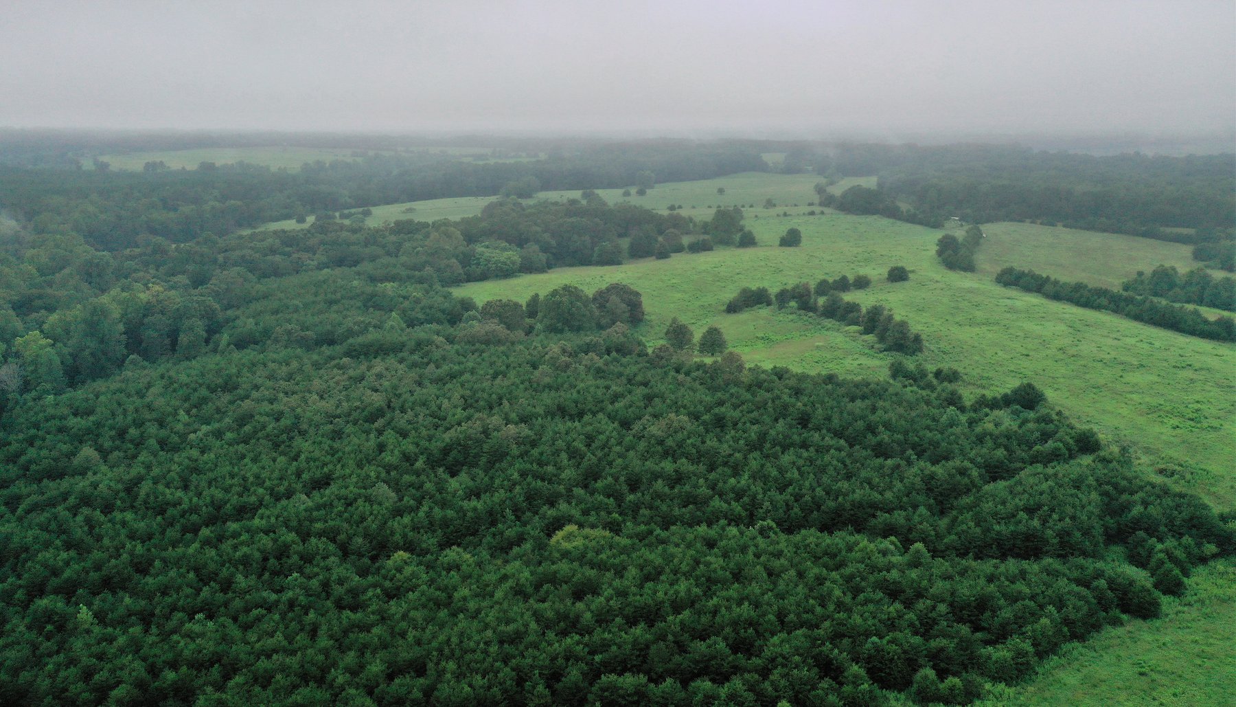 Image for Tract 1:  189.12 +/- acres