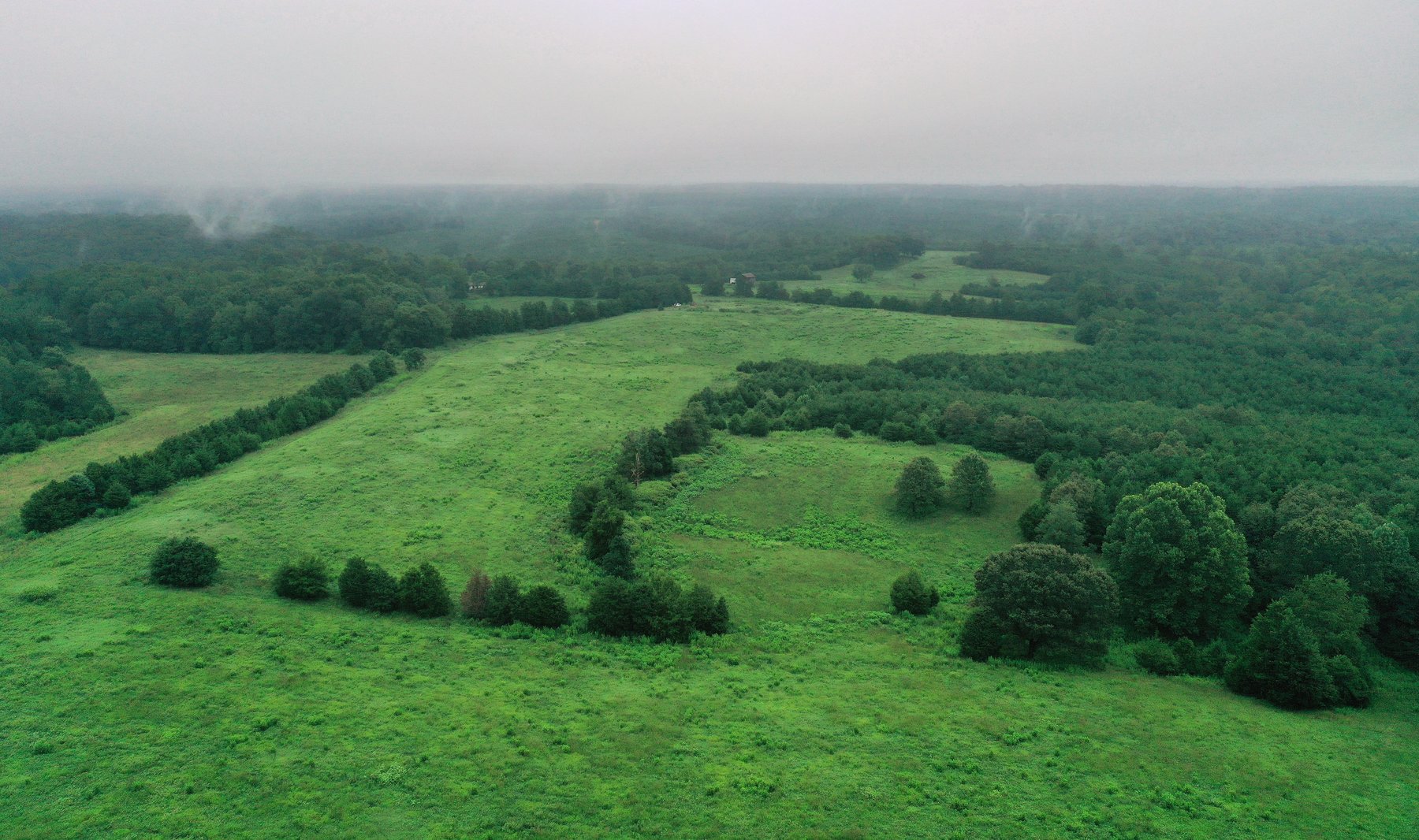 Image for Tract 1:  189.12 +/- acres