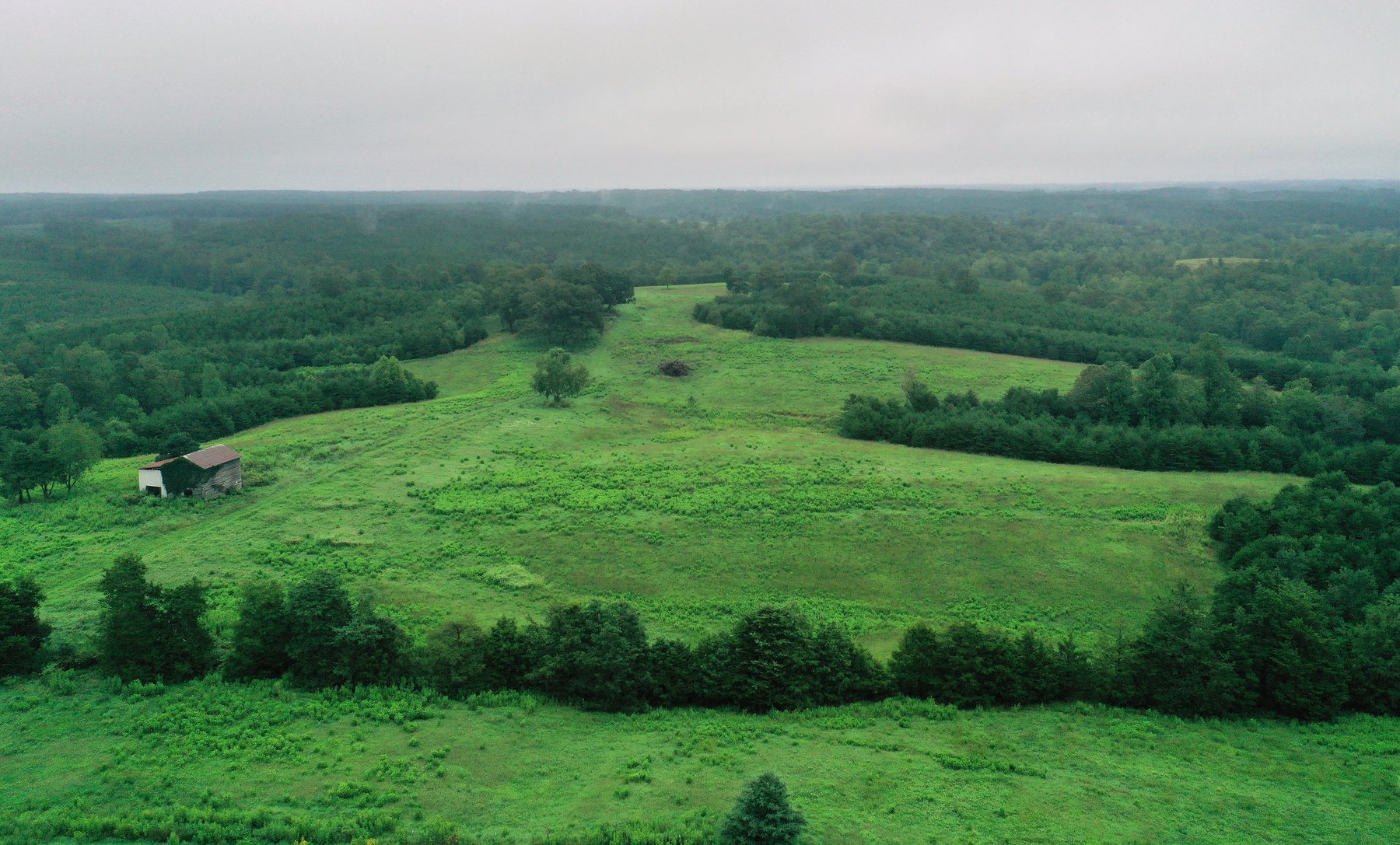 Image for Tract 1:  189.12 +/- acres