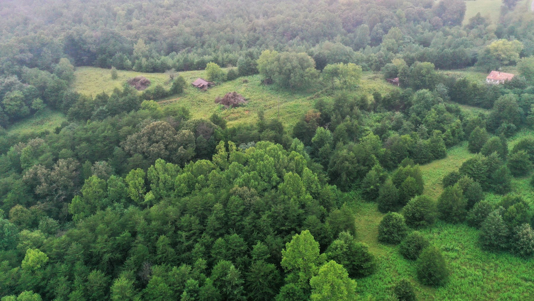 Image for Tract 2:  105.5 +/- acres