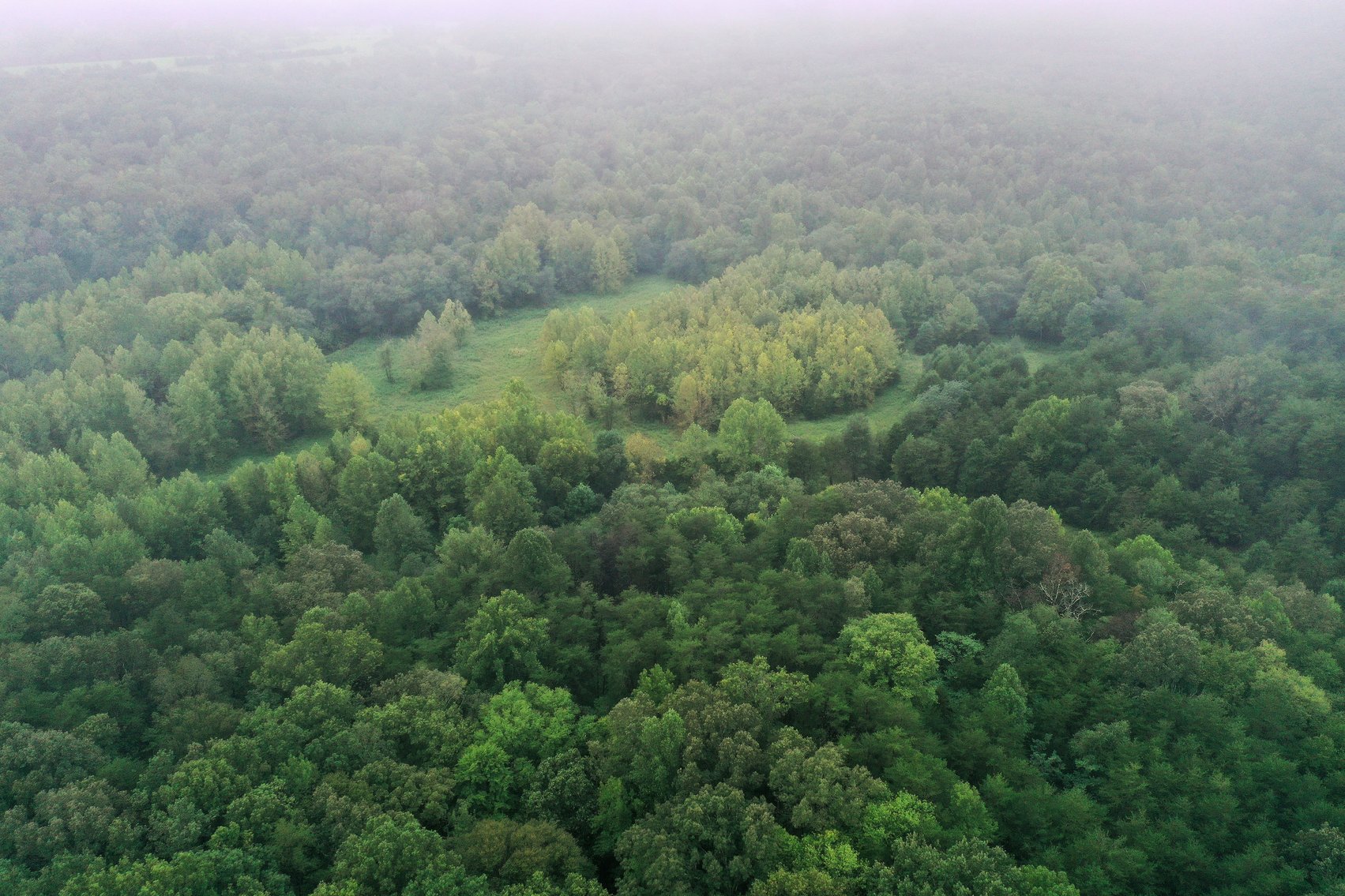 Image for Tract 2:  105.5 +/- acres