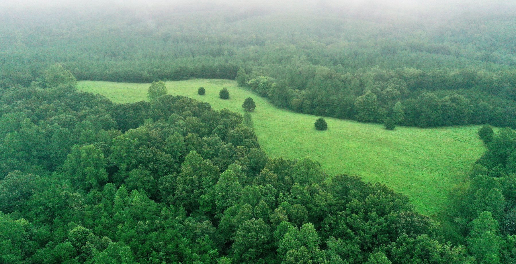 Image for Tract 3:  71 +/- acres