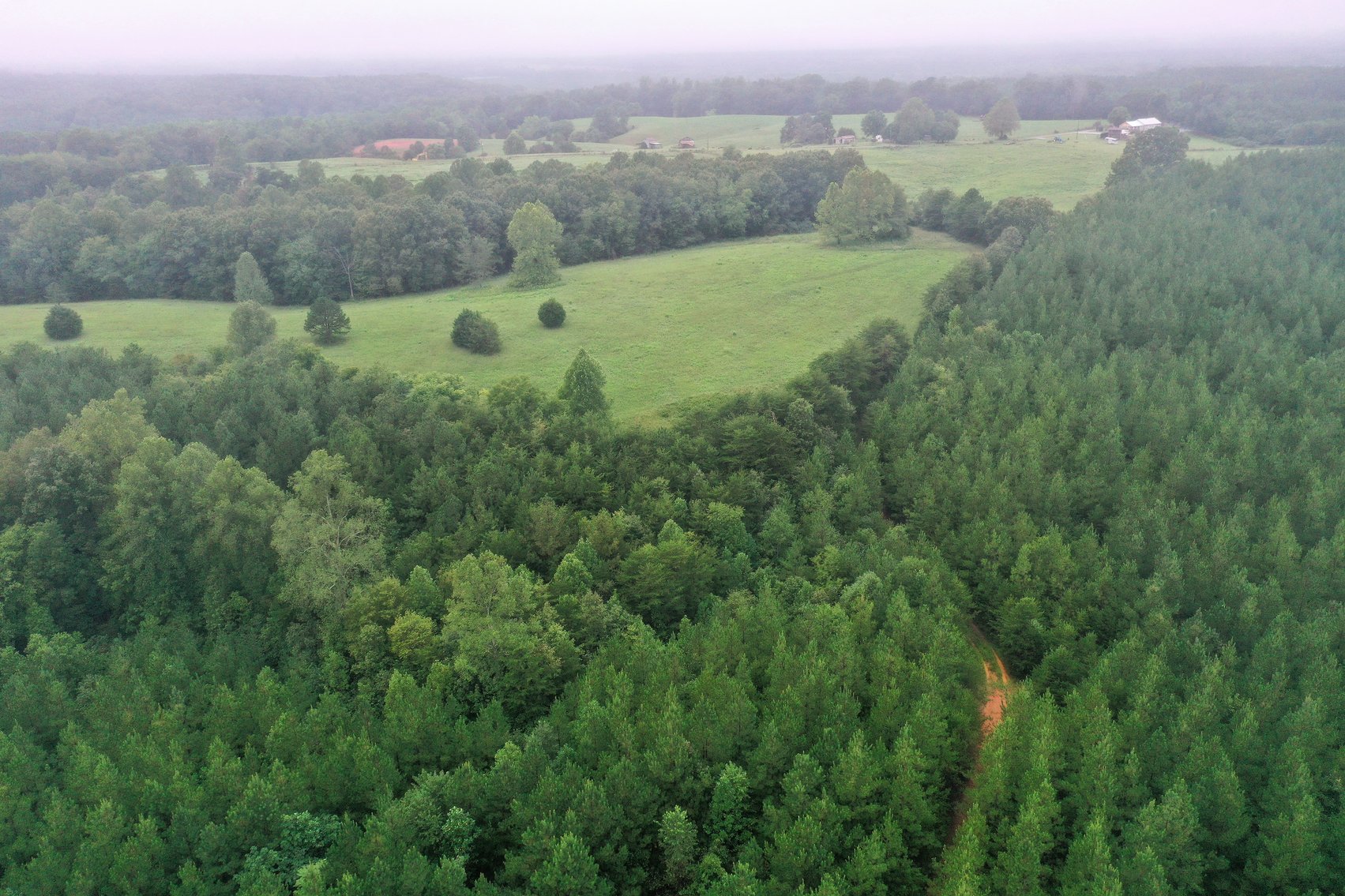 Image for Tract 3:  71 +/- acres