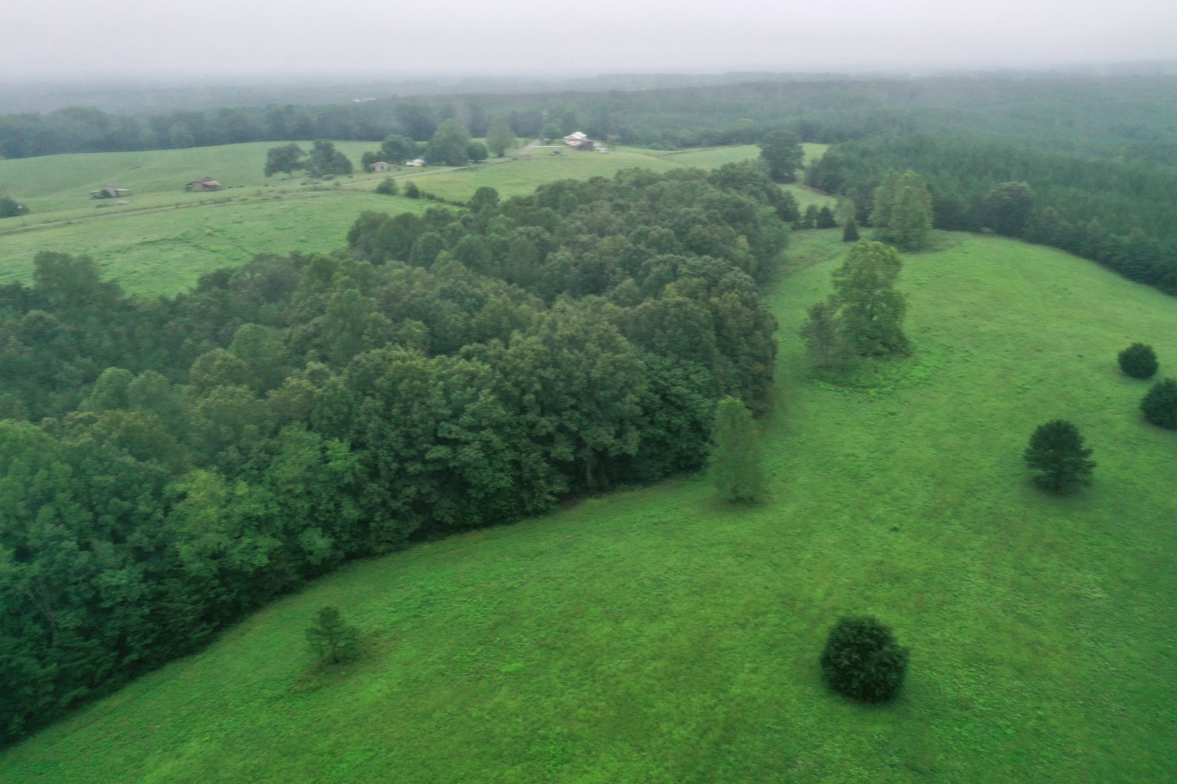 Image for Tract 3:  71 +/- acres