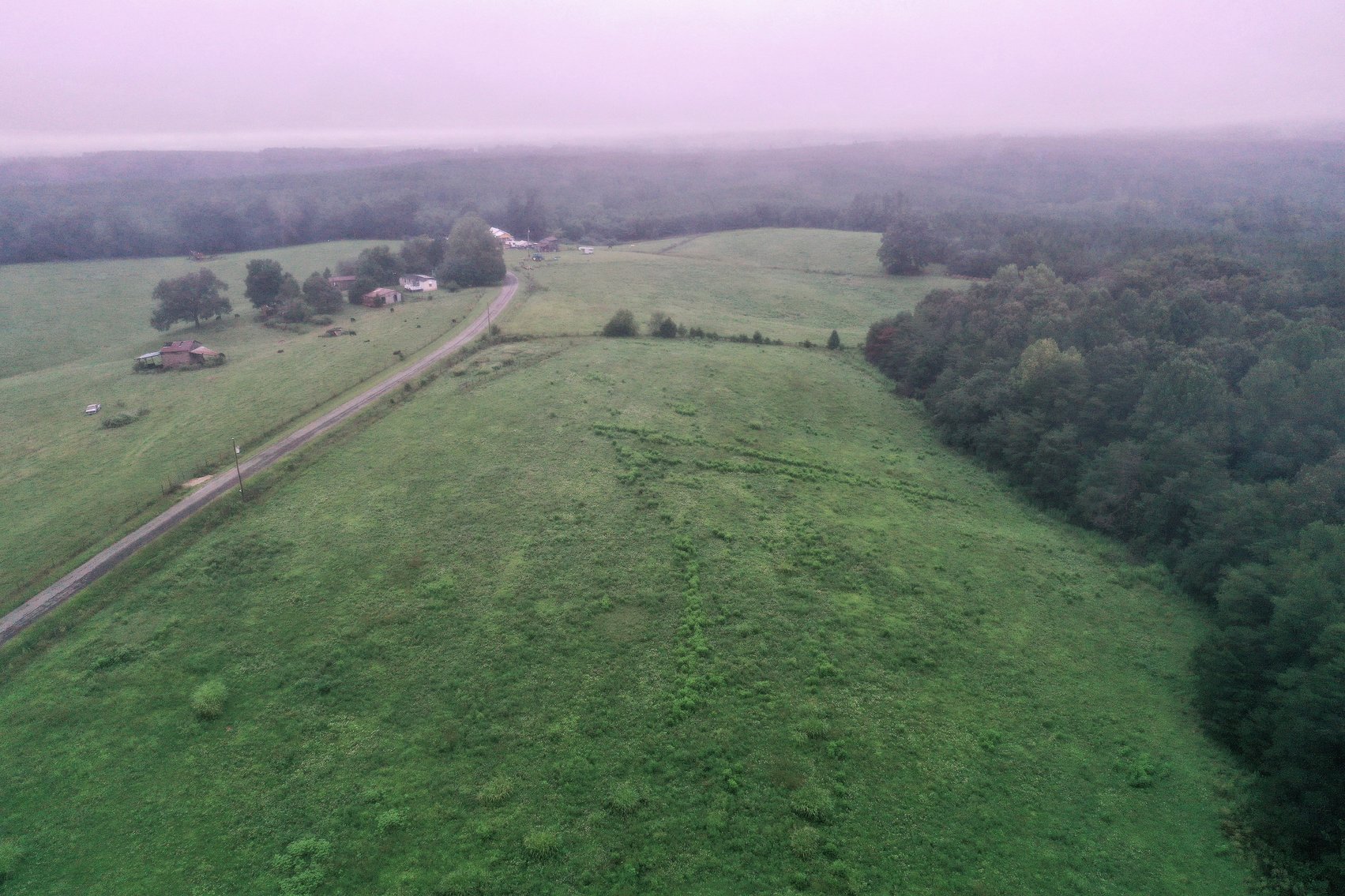 Image for Tract 3:  71 +/- acres