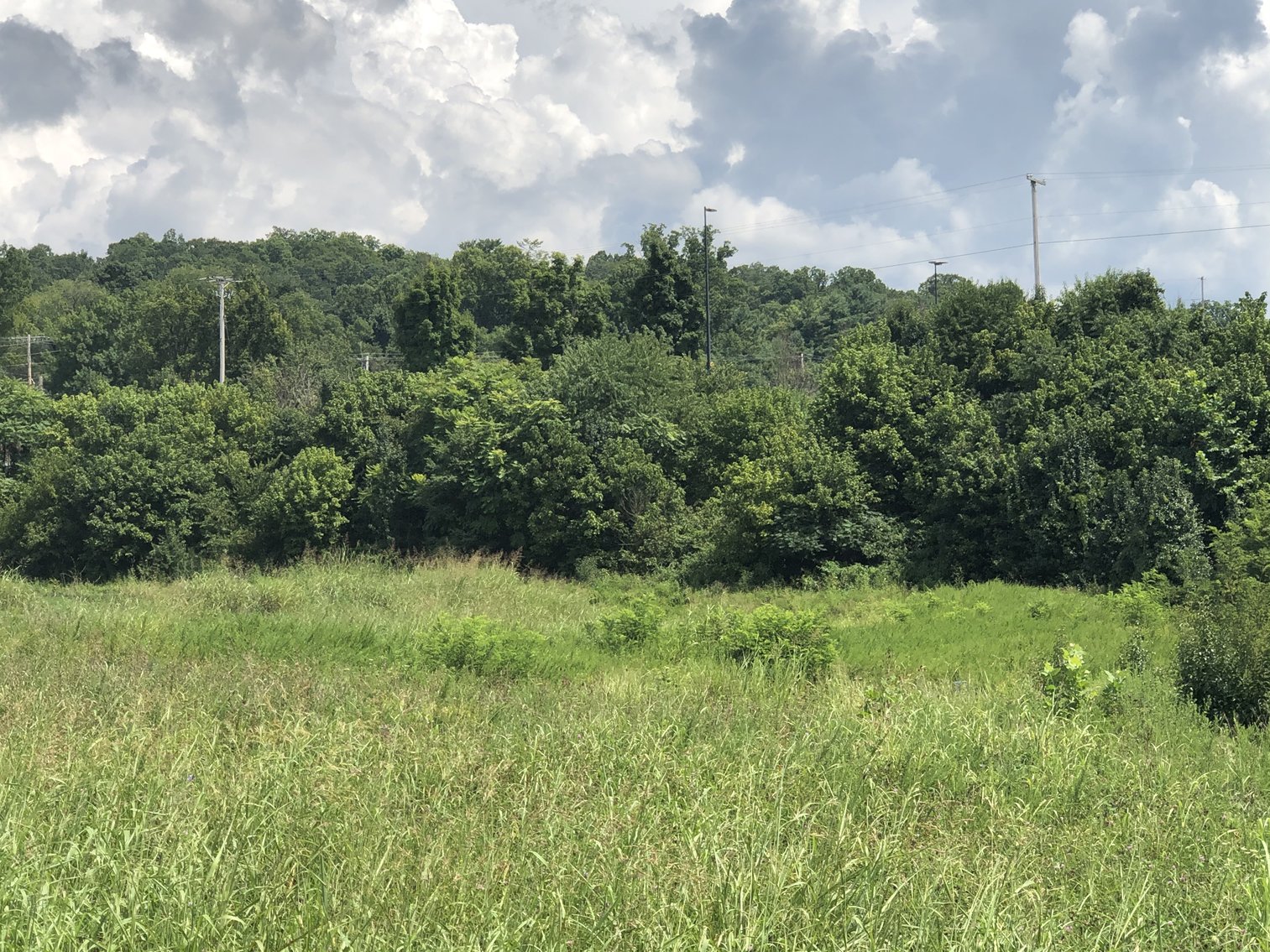 Image for REAL ESTATE AUCTION: 4 Lots (Kingsport, TN)