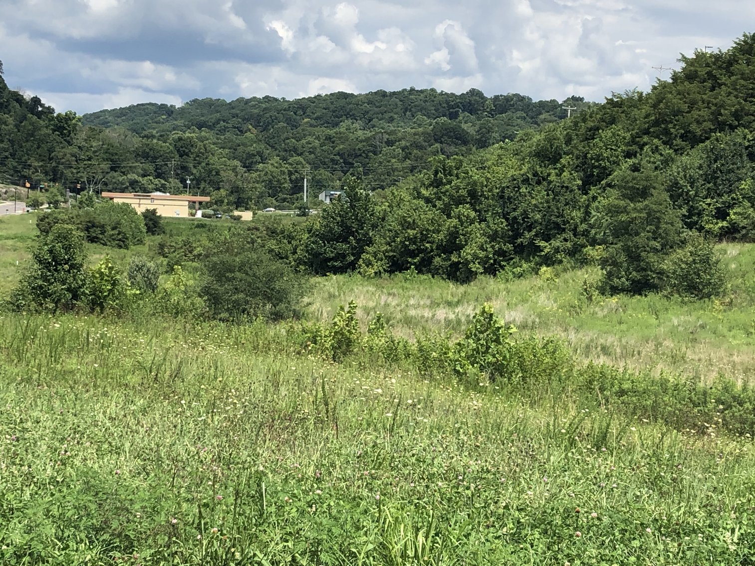 Image for REAL ESTATE AUCTION: 4 Lots (Kingsport, TN)