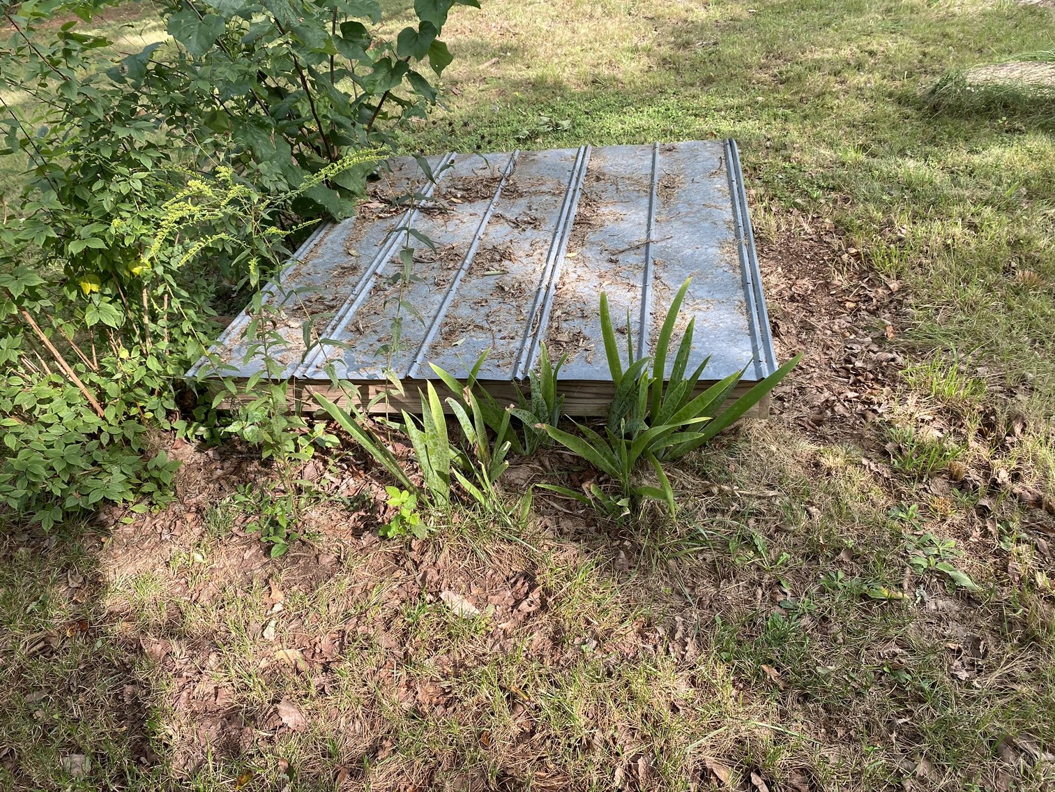 Image for Pre-Foreclosure Auction – 3 BR / 1 BA Single Family Home – Buckingham County – 14481 S. James Madison Hwy., Dillwyn, VA 23936