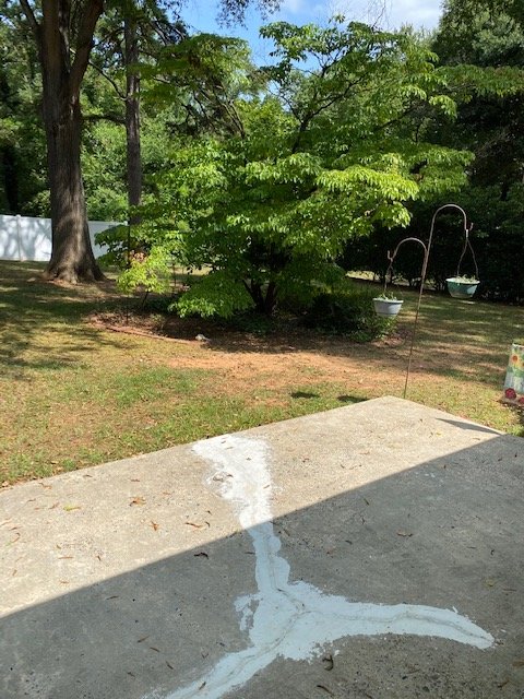 Image for Nottingham Drive, Gastonia - House and Contents