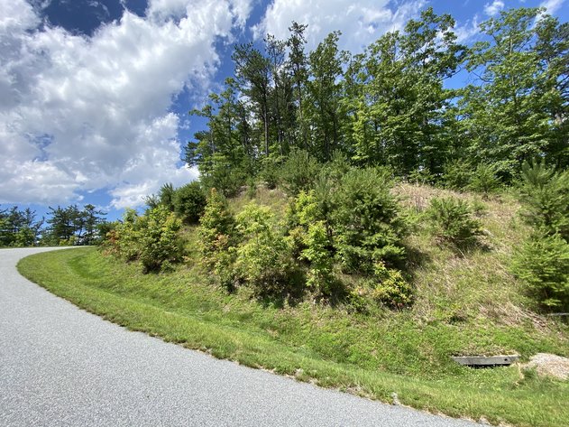 Image for Lot 1320 Ironwood Way, Ferguson, NC 28624