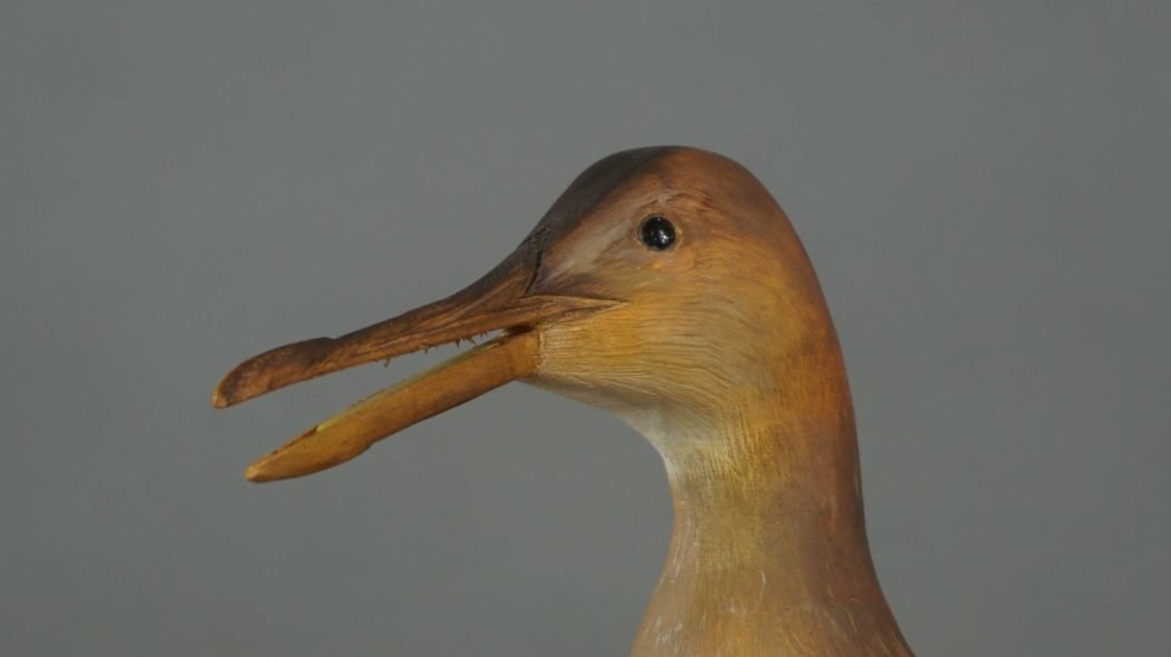 Image for Fall Sportsman's Timed Auction