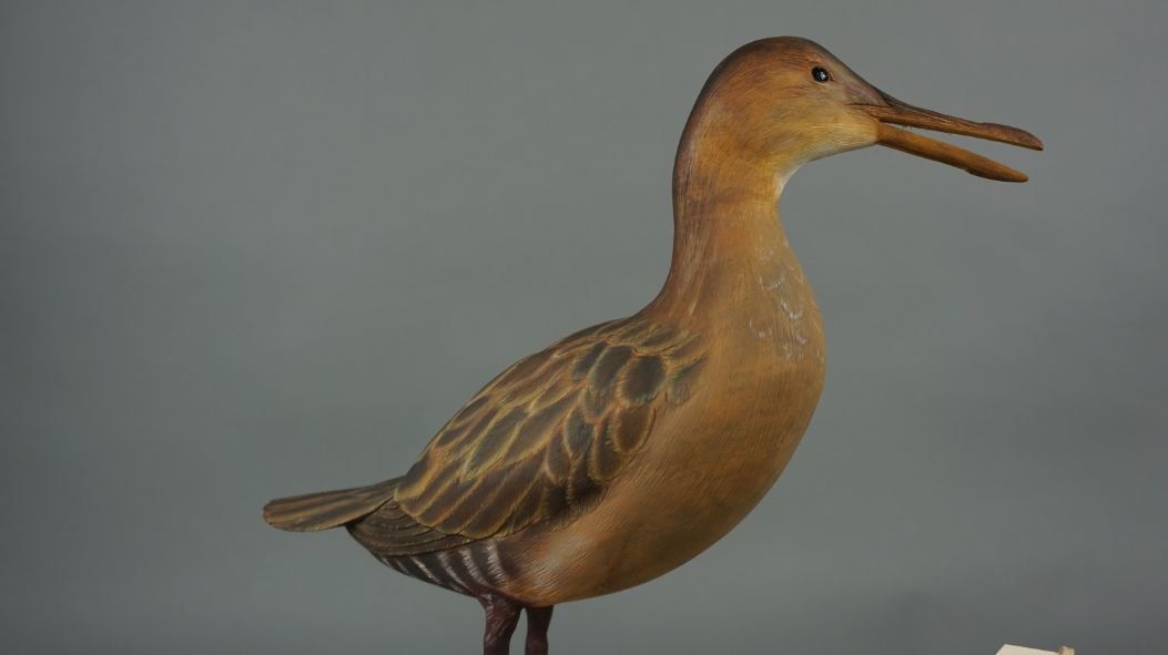 Image for Fall Sportsman's Timed Auction