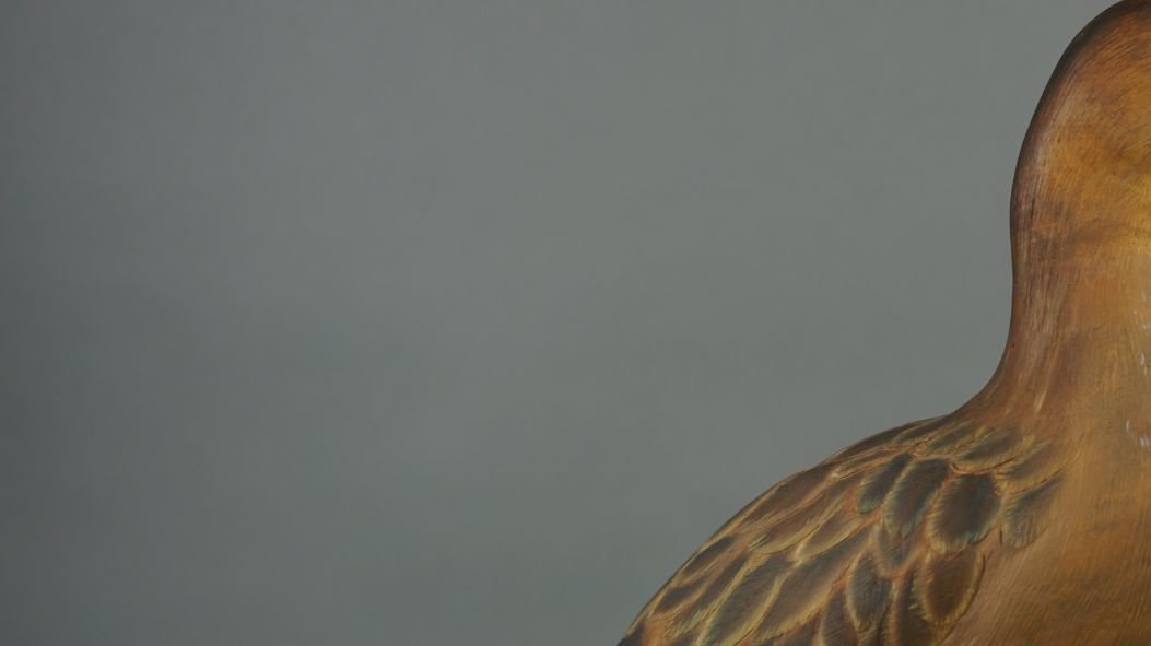 Image for Fall Sportsman's Timed Auction