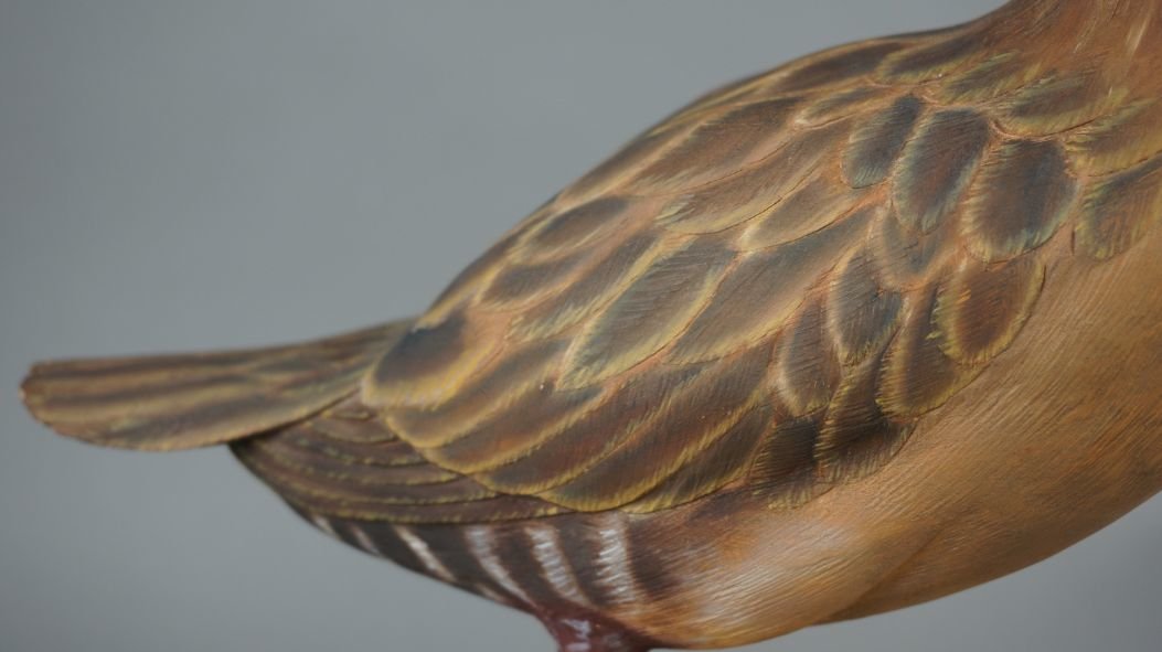 Image for Fall Sportsman's Timed Auction