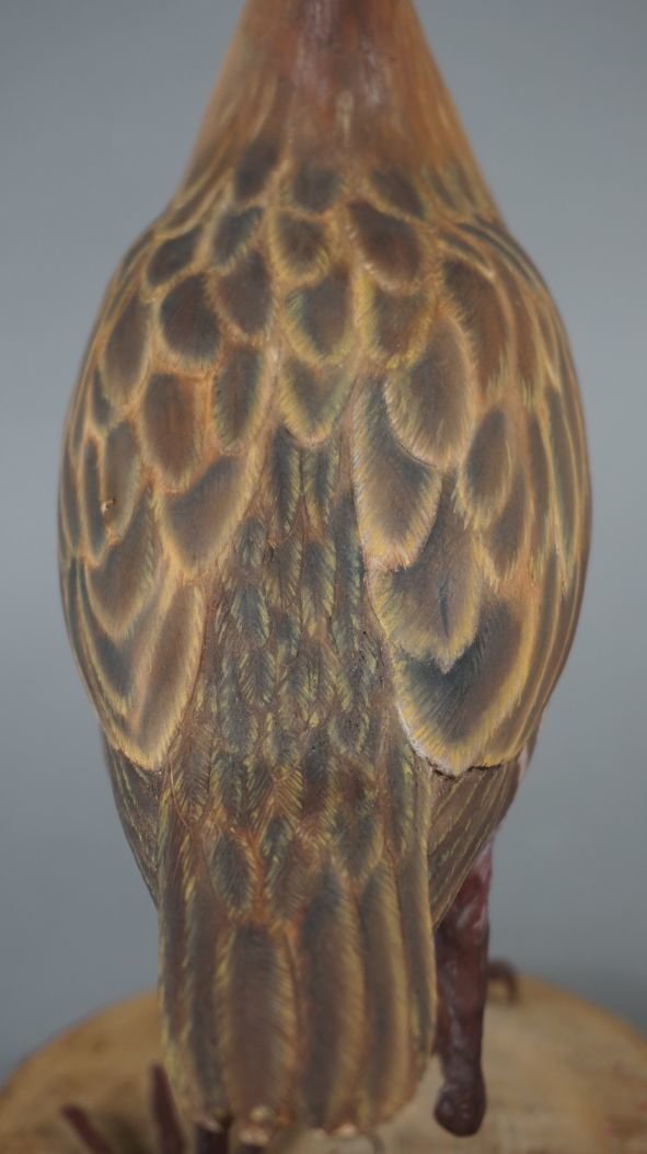 Image for Fall Sportsman's Timed Auction